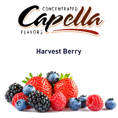картинка Harvest Berry от магазина Paromag 