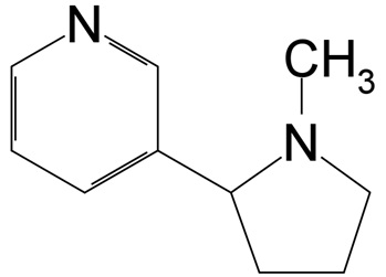 formula-2.jpg